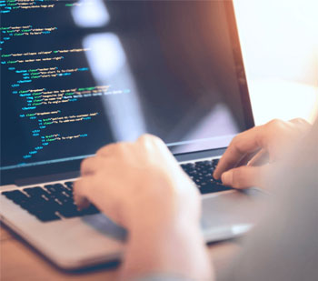 Web Designer & Developer